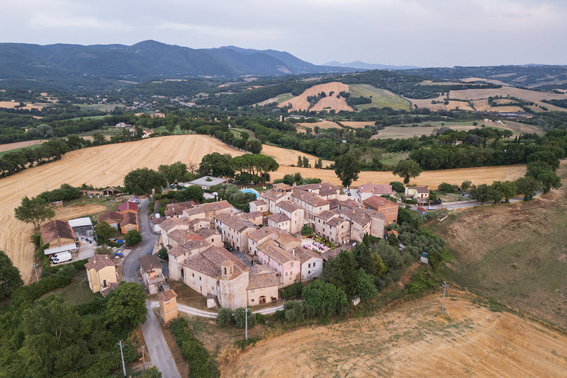 Borgo